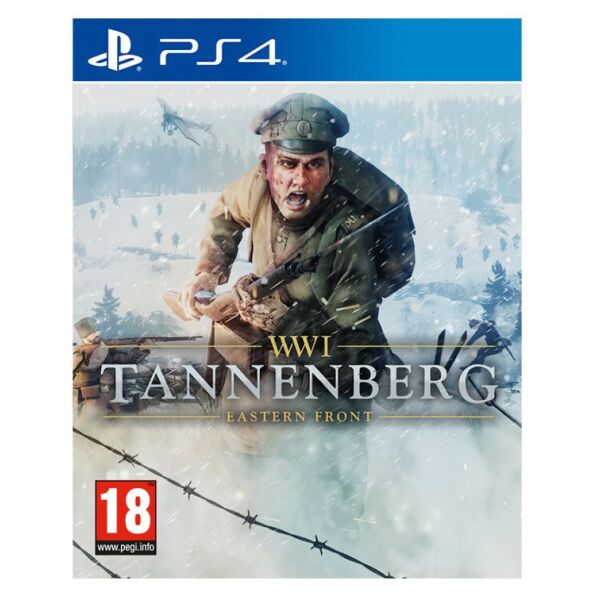 

WWI Tannenberg: Eastern Front (PS4 русские субтитры)