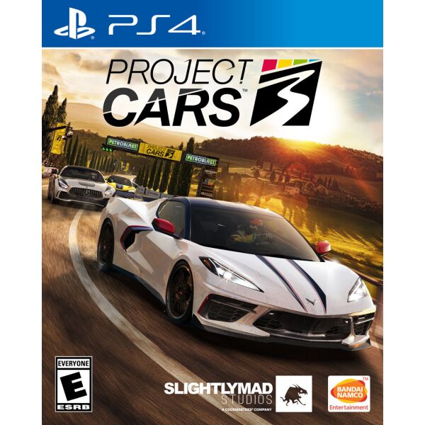 

Project Cars 3 (PS4, русские субтитры)