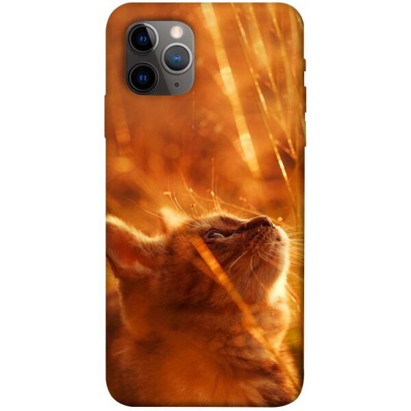 

Чехол itsPrint Magic cat для Apple iPhone 11 Pro (5.8)