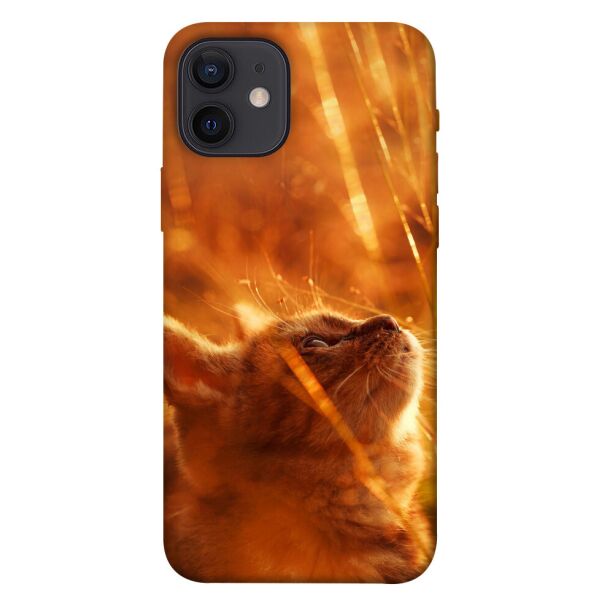 

Чехол itsPrint Magic cat для Apple iPhone 12 (6.1)