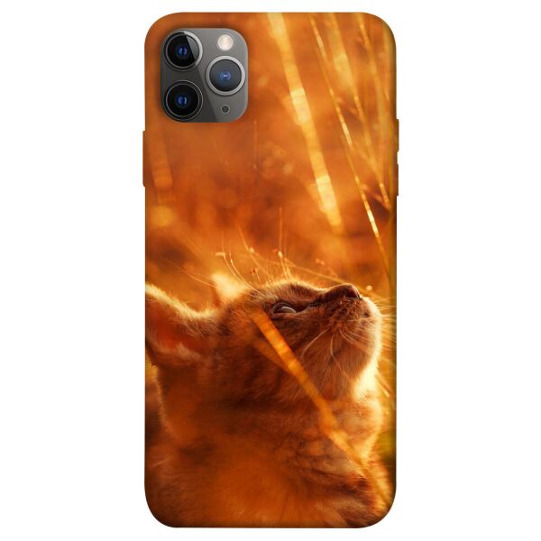 

Чехол itsPrint Magic cat для Apple iPhone 12 Pro Max (6.7)