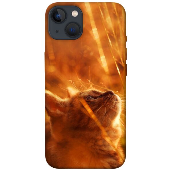 

Чехол itsPrint Magic cat для Apple iPhone 13 (6.1)