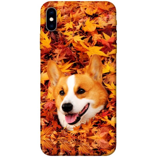 

Чехол itsPrint Корги в листьях для Apple iPhone X (5.8)