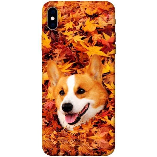 

Чехол itsPrint Корги в листьях для Apple iPhone XS Max (6.5)