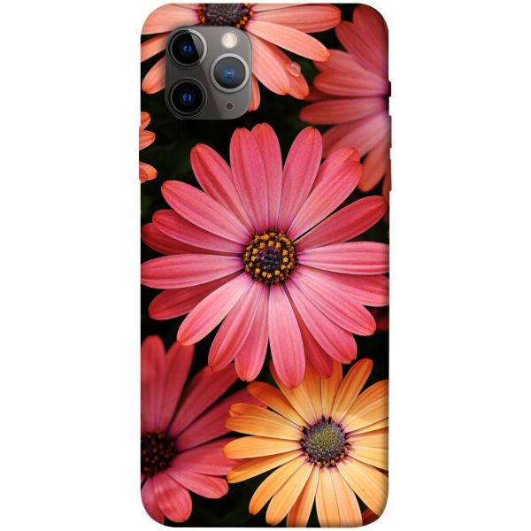 

Чехол itsPrint Осенние цветы для Apple iPhone 11 Pro Max (6.5)