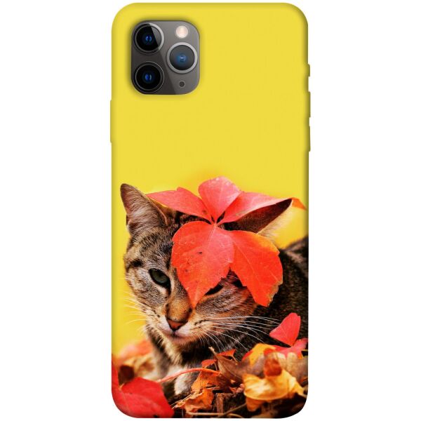 

Чехол itsPrint Осенний котик для Apple iPhone 11 Pro Max (6.5)