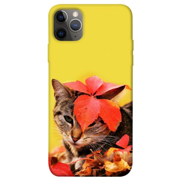 

Чехол itsPrint Осенний котик для Apple iPhone 12 Pro Max (6.7)