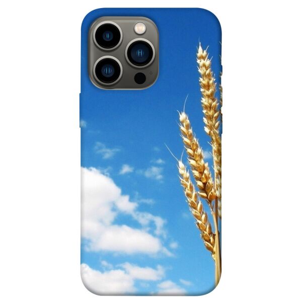 

Чехол itsPrint Пшеница для Apple iPhone 13 Pro (6.1)