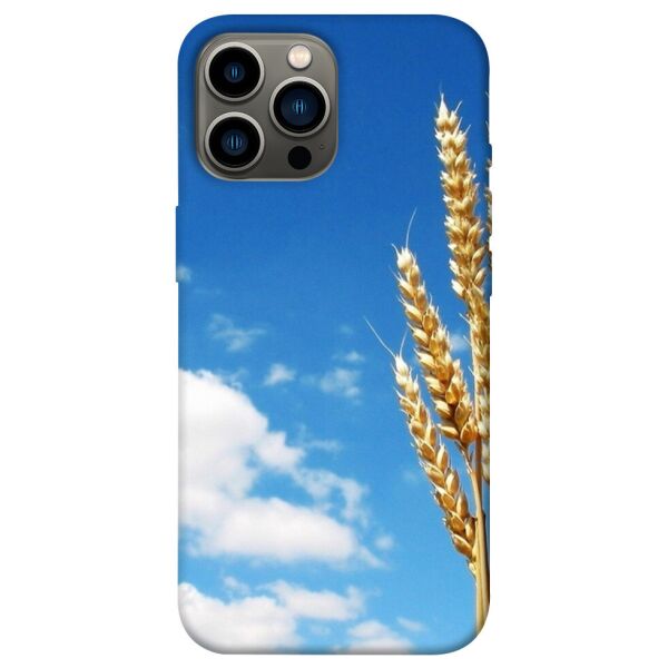 

Чехол itsPrint Пшеница для Apple iPhone 13 Pro Max (6.7)