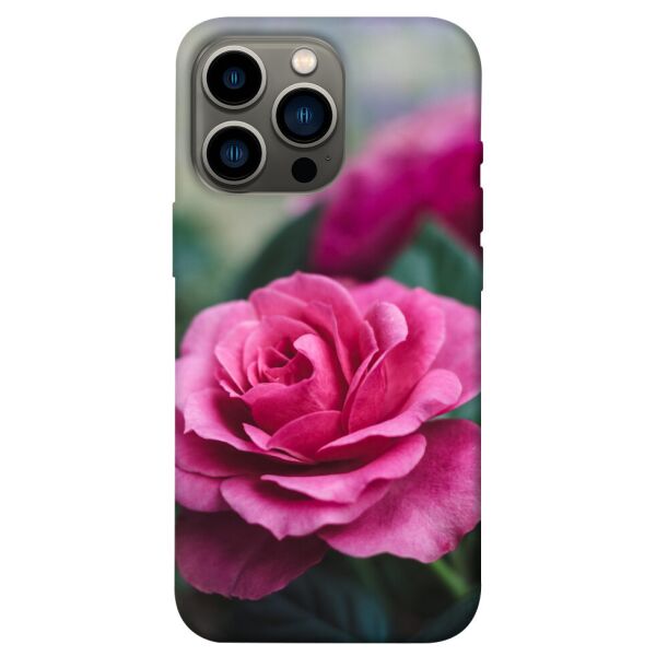 

Чехол itsPrint Роза в саду для Apple iPhone 13 Pro (6.1)