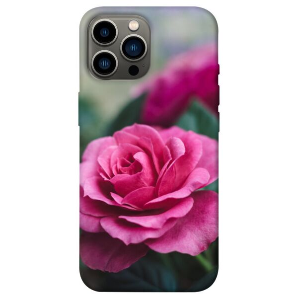 

Чехол itsPrint Роза в саду для Apple iPhone 13 Pro Max (6.7)