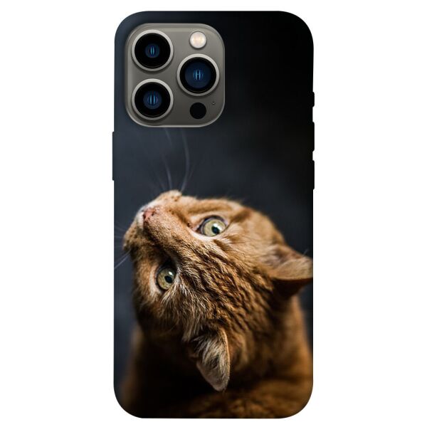 

Чехол itsPrint Рыжий кот для Apple iPhone 13 Pro (6.1)
