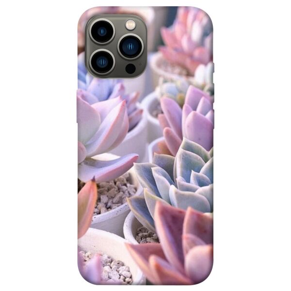 

Чехол itsPrint Эхеверия 2 для Apple iPhone 13 Pro Max (6.7)