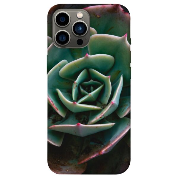 

Чехол itsPrint Эхеверия для Apple iPhone 13 Pro Max (6.7)