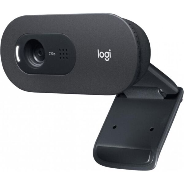

Веб-камера Logitech C505 HD (960-001372)