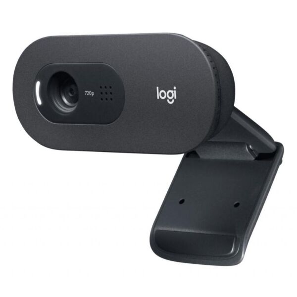 

Веб-камера Logitech C505 HD Black (960-001364)