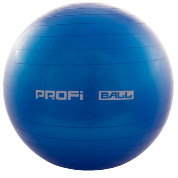 

Фитбол (Мяч для фитнеса, гимнастический) глянец Profi 65 см (MS 1576) Синий