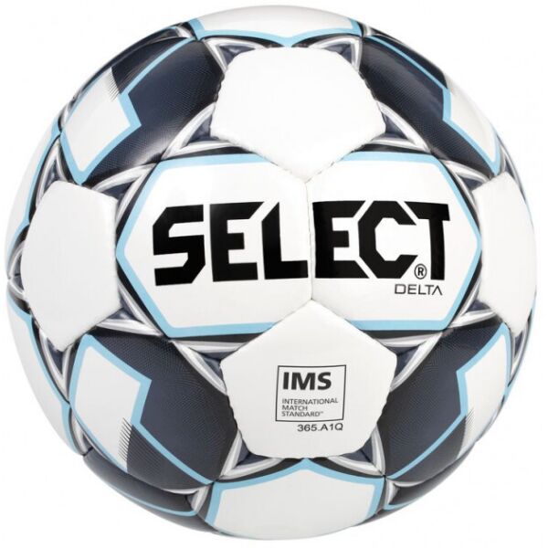 

Мяч футбольный Select Delta (015) №5 White-Grey (5703543198214)
