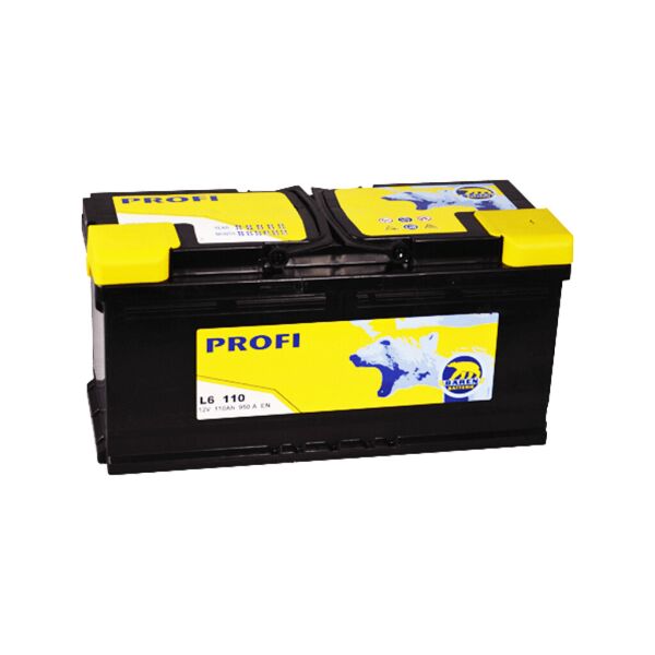 

Автомобильный аккумулятор BAREN Profi 110Аh 950А R+