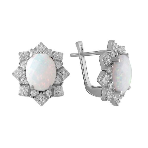 

Серьги из серебра с куб. циркониями и опалами (1750475)
