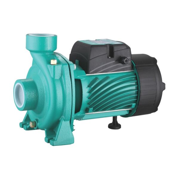 

Насос поверхностный центробежный TAIFU TGA1C 0,75 кВт 2"х 2"