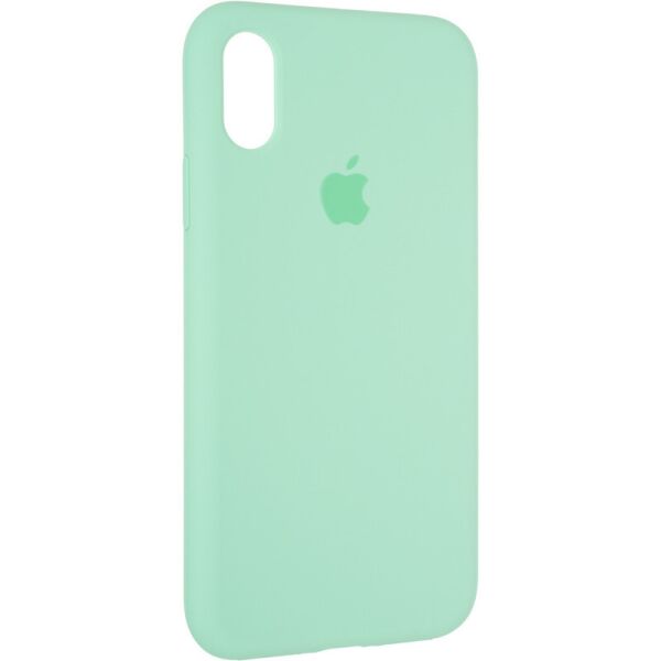 

Чехол Fiji Silicone Case для Apple iPhone XS бампер накладка Full Soft Spermint