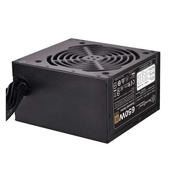 

Блок питания SilverStone STRIDER ET650-G V1.2(650W), 80+Gold,aPFC,12см,24+8,8*SATA,4*PCIe,1*FDD,+3