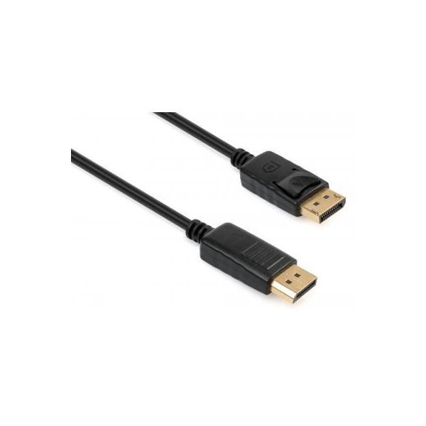 

Кабель мультимедійний Display Port to Display Port 3.0m Vinga (VCPDPMM3BK)