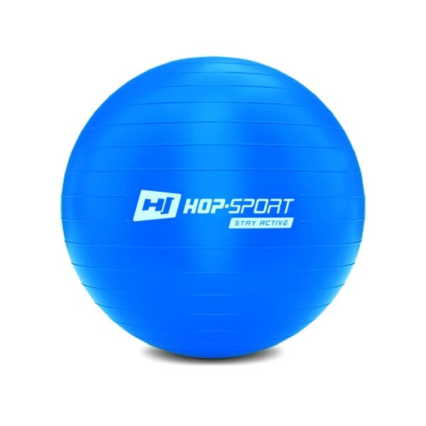 

Фитбол Hop-Sport 45 см голубой + насос 2020