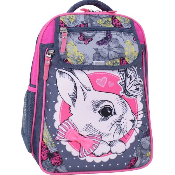 

Рюкзак школьный Bagland Отличник 20 л. 321 серый 883 (0058070)