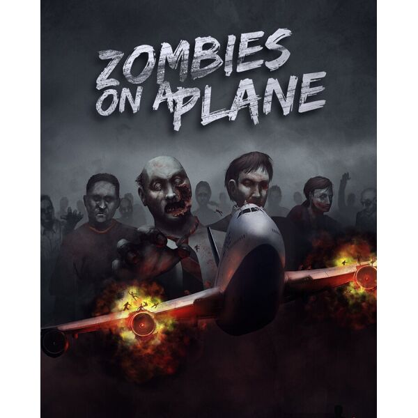 1c entertainment  Zombies on a Plane   (  Steam)