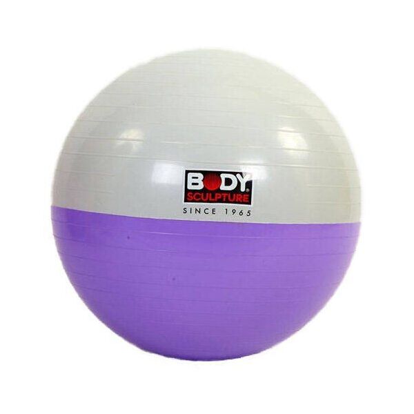 

Мяч для фитнеса BB-001 65см Серо-фиолетовый (56429088)