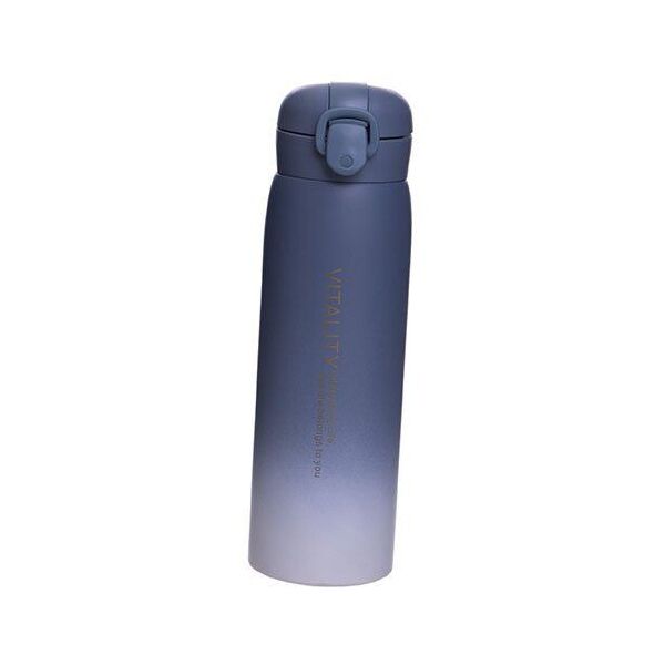 

Бутылка-термос для воды Vitality FI-2832 500мл Синий (59508061)