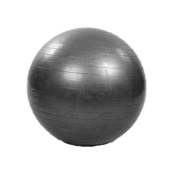 

Мяч для фитнеса фитбол FI-1981 75см Черный (56363063)