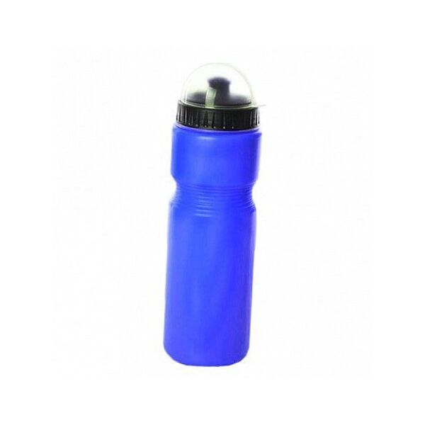 

Спортивная бутылка Profi MS 0894 700мл Синий (09394005)