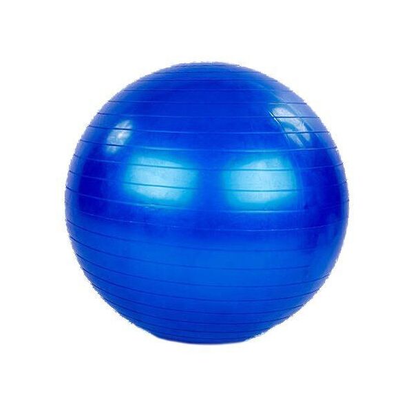 

Мяч для фитнеса фитбол FI-1980 65см Черный (56363049)