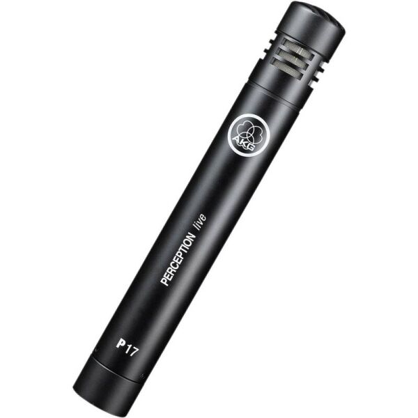 

AKG P170