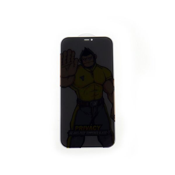 

Защитное стекло Type Gorilla silk full cover Anti-Peep iPhone 12 Pro Max Black