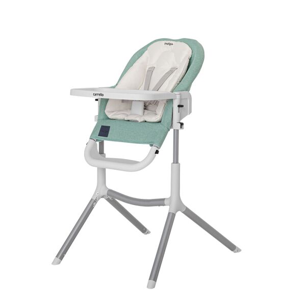 

Детский стульчик для кормления Carrello Indigo (Каррелло Индиго) CRL-8402 Ash Green (6900084000092) Цвет Зеленый