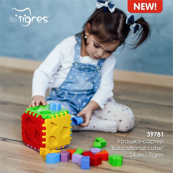 

Сортер "Educational cube" 24 элемента, в сетке 17*17*17см, ТМ Wader