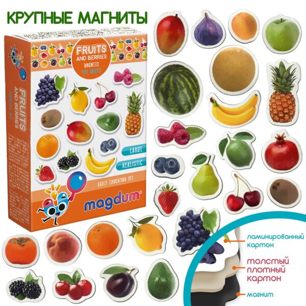 

Набор магнитов "Фрукты и ягоды", 25 магнитов, в кор. 12*4*17см, Украина, Magdum