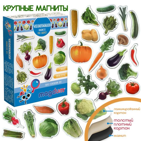 

Набор магнитов "Овощи" в кор. 12*4*17см Украина Magdum