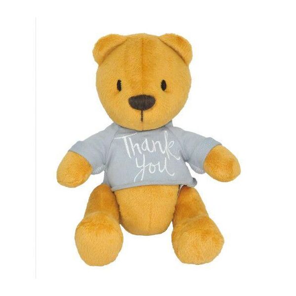 

Медведь «Денни thank you» 20см
