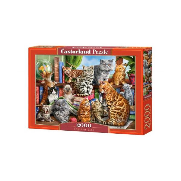 

Пазл Castorland Кошкин дом 2000 элементов