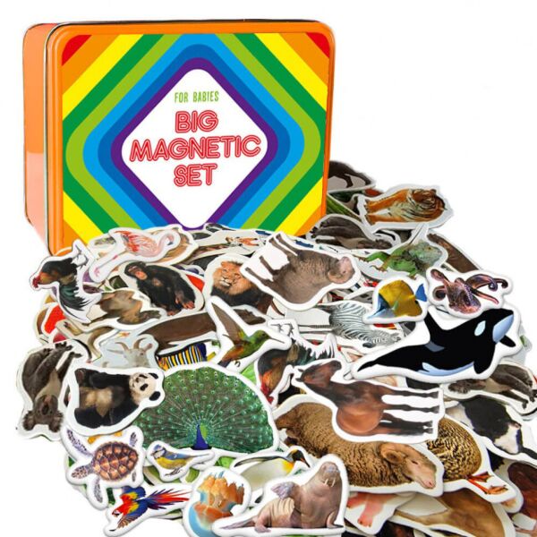 

Детский подарочный набор магнитов Животные ML4032-24 EN