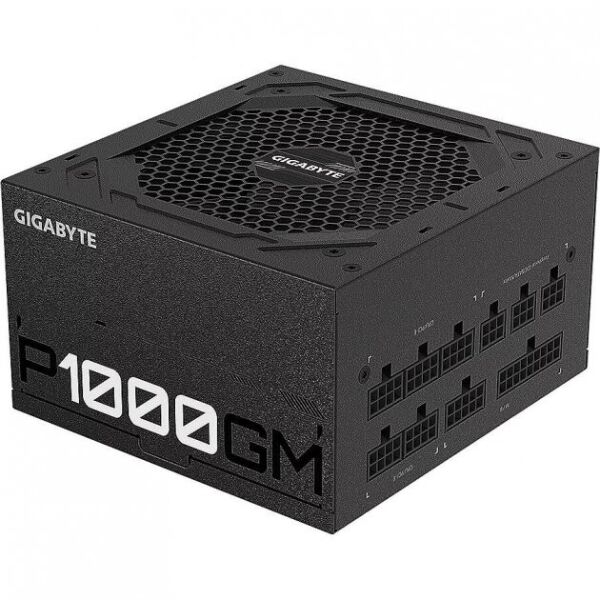 

GIGABYTE P1000GM