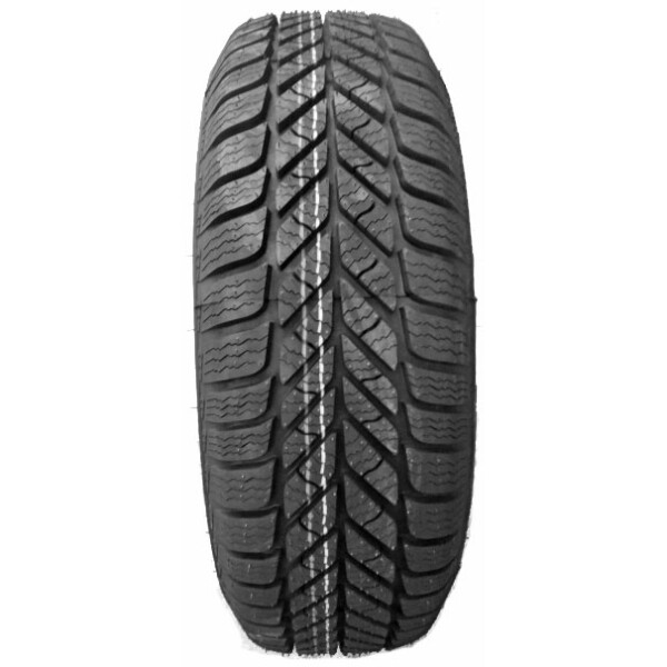 

Diplomat Winter ST 195/60 R15 88T