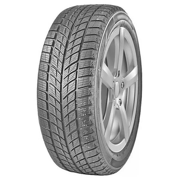 

Doublestar WINTERKING DW09 255/50 R19 107T XL