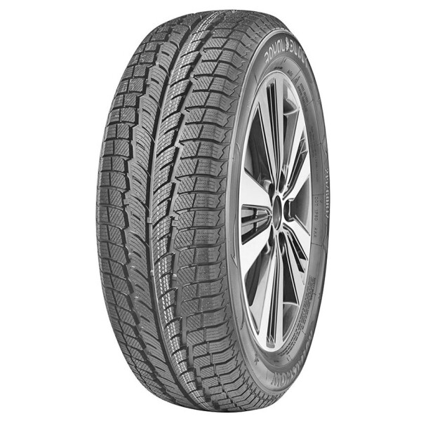 

Royal Black Royal Snow 205/55 R16 91H