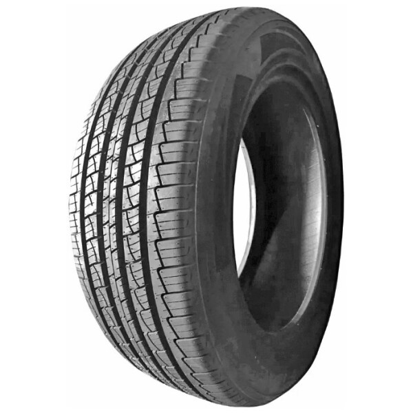 

Sunny SAS028 245/55 R19 103H